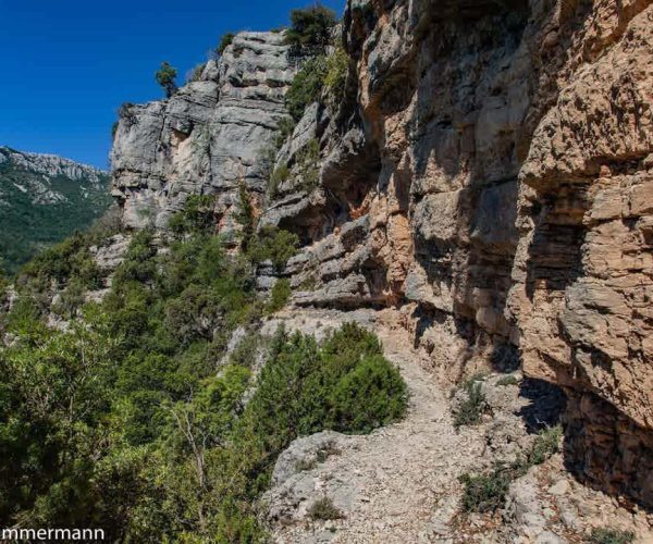 1-leon_is_hiking