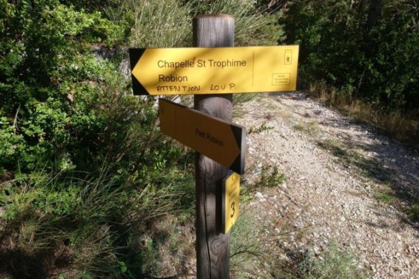 Avertissement Attention Loup