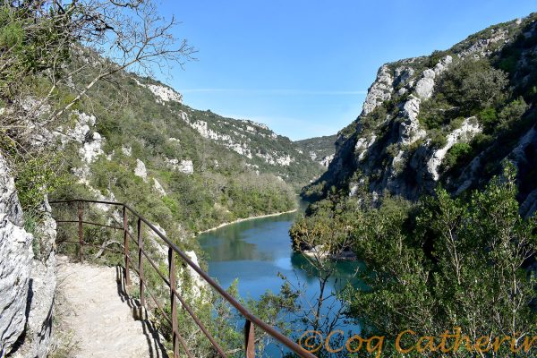 22b-rando-quinson-gorges-du-verdon-coq-c