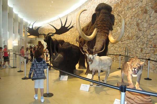 musee-prehistoire-quinson-verdon