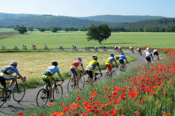 plateau-de-valensole_1