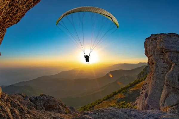 shutterstock_2073047156